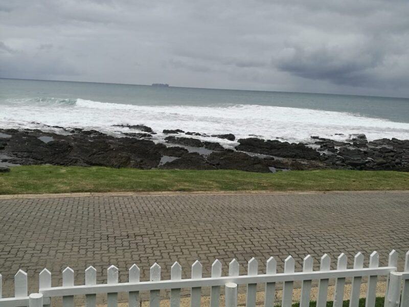 Oystercatcher