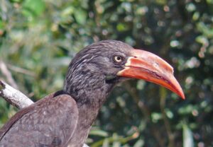 morgan bay 18 eyelashings