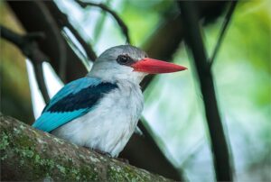 morgan bay dsc5852 small