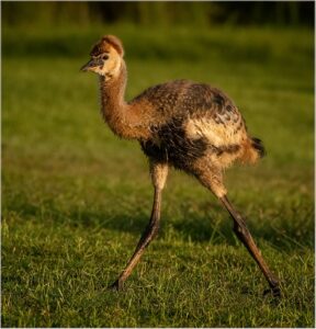 morgan bay dsc6417 2