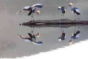 morgan bay dd821b5e 6e7d 4e3c b3f8 05b2b88901bb