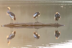 morgan bay fad52330 d775 4d92 a6b1 e98a8f15d87b